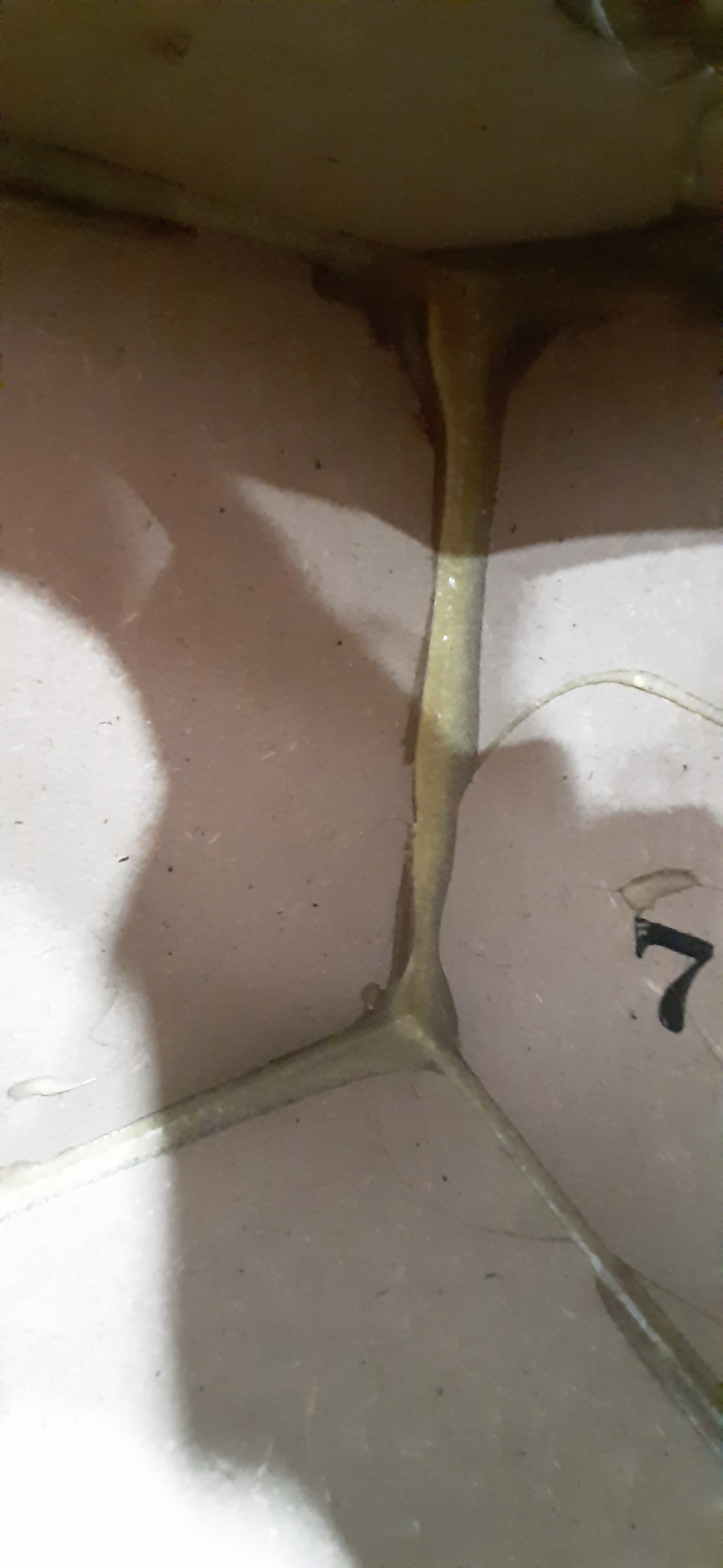 Фото в бортжурнале Toyota Camry (XV50)