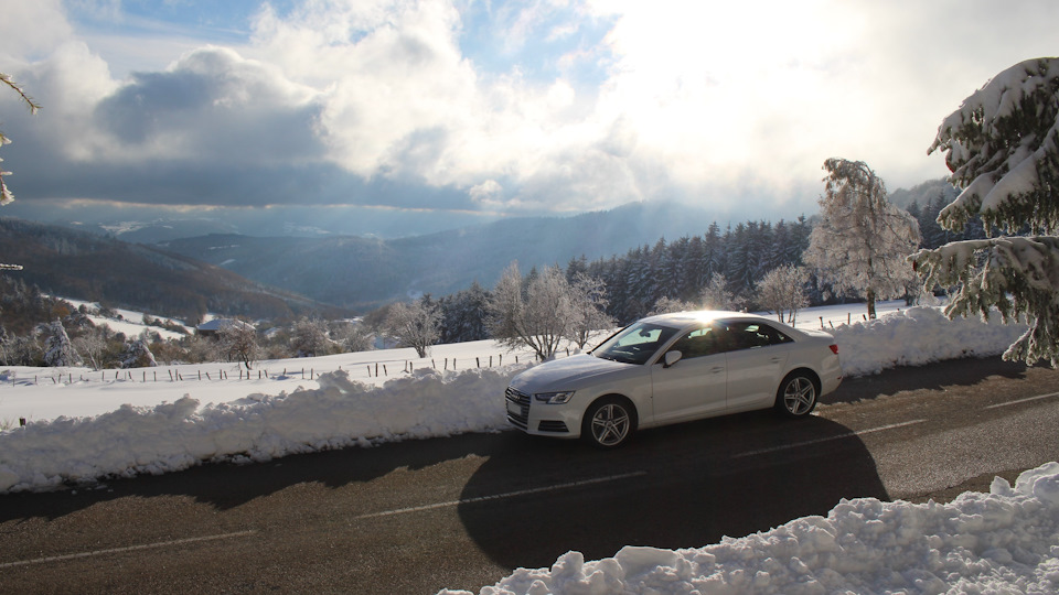 Фото-портфолио Четверки пополнилось достойными экспонатами. — Audi A4 (B9)