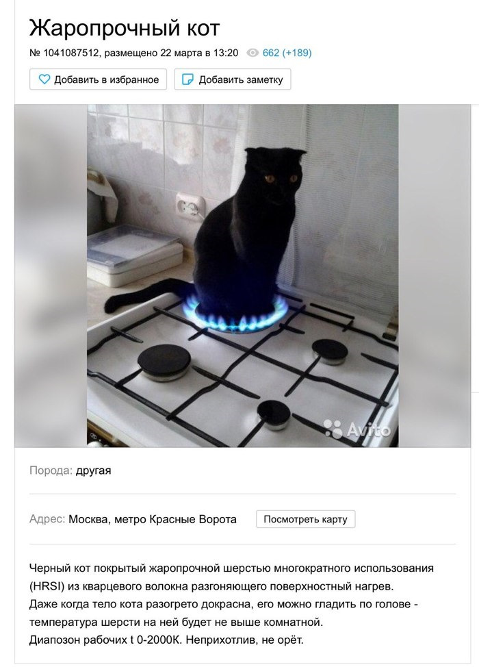 Купи кот