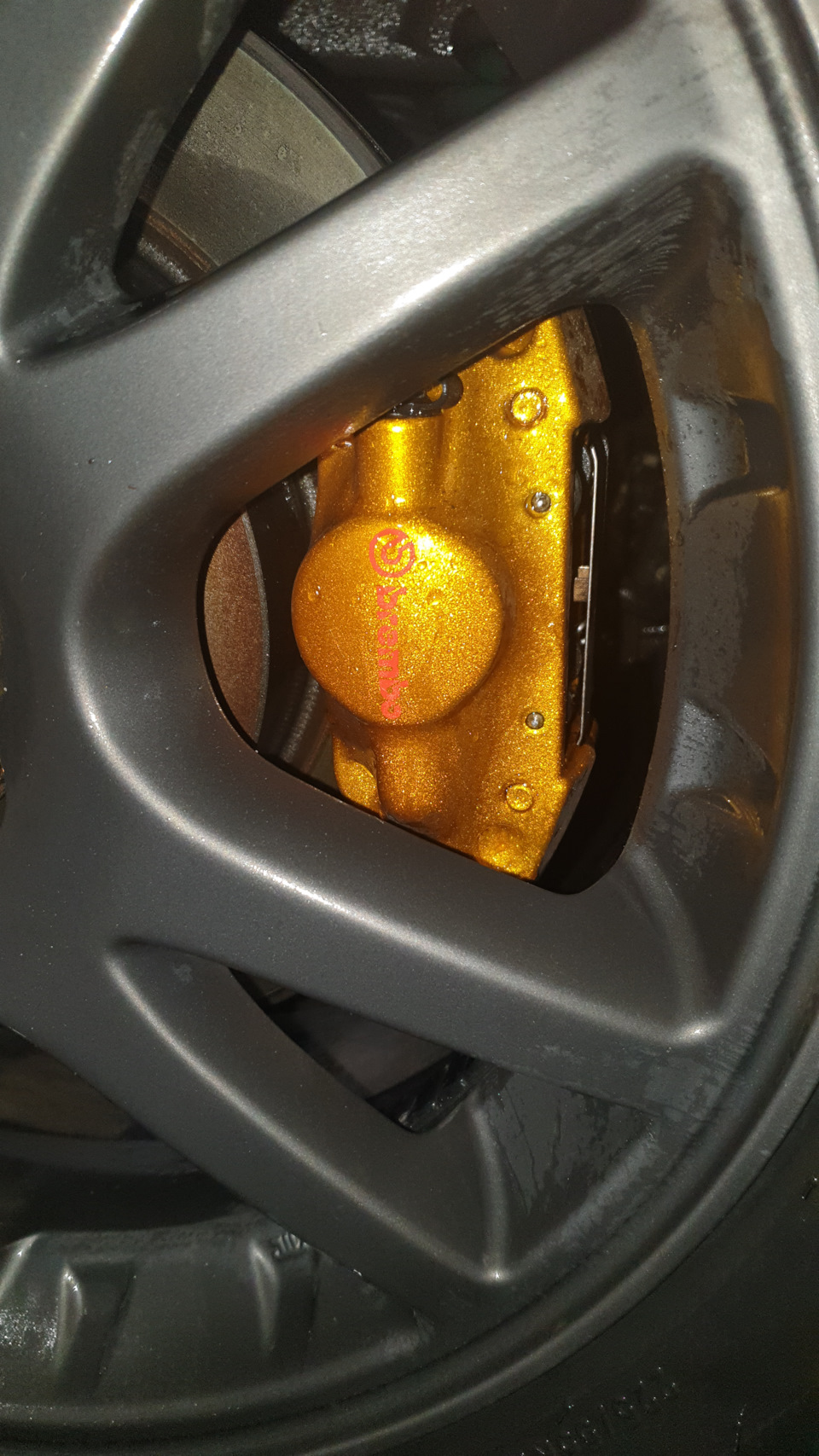 Зад. — Subaru Forester (SH)