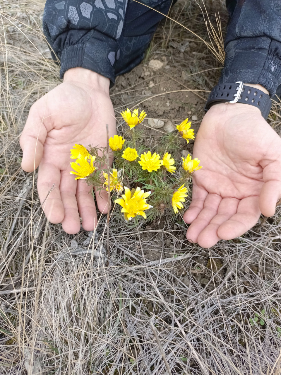 Фото в бортжурнале УАЗ Patriot