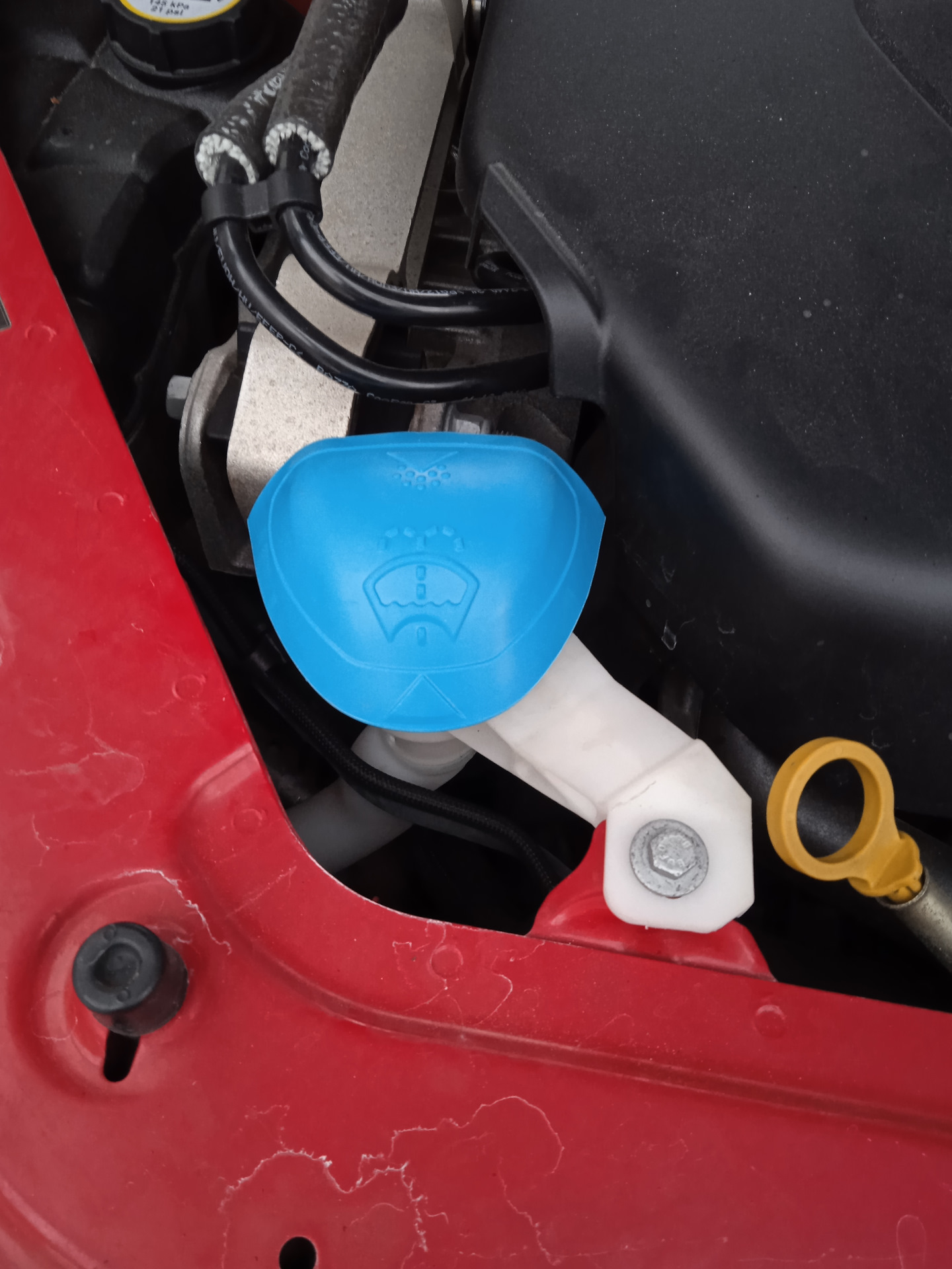 Аксессуары для кота с Ali — Jaguar E-Pace, 2 л, 2019 года | аксессуары ...