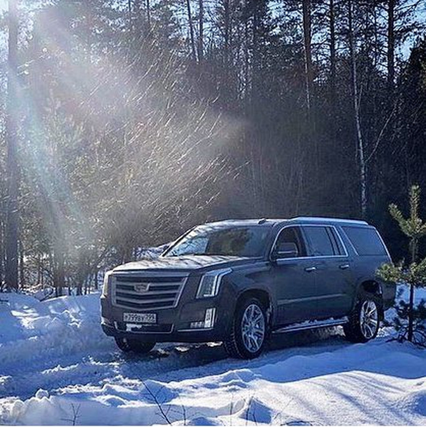 Больше солнца в вашу ленту, друзья! — АВИЛОН на DRIVE2