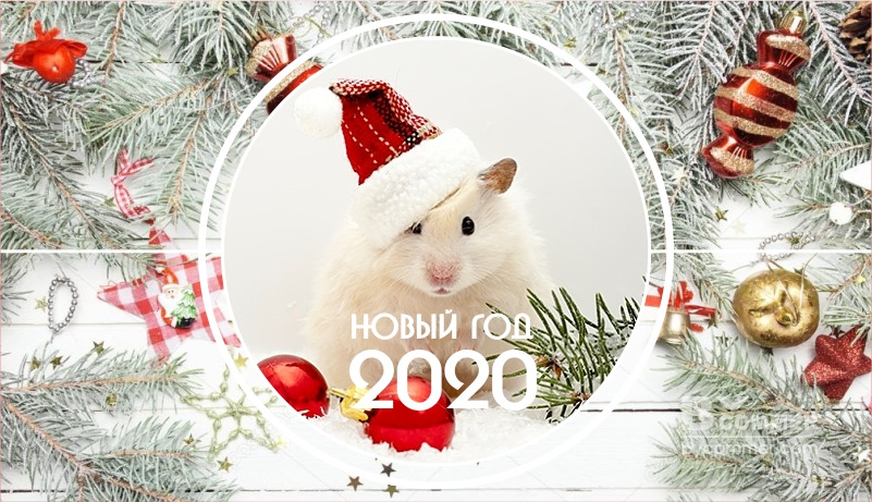 Проект новый год 2020