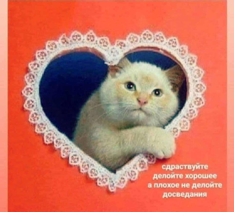 Галоши 2.0 — DRIVE2