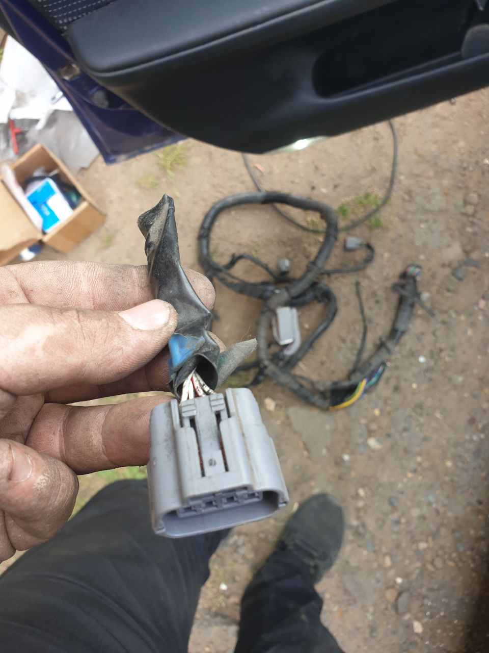 Вот она, чистая не гнилая — Mazda 6 (1G) GG