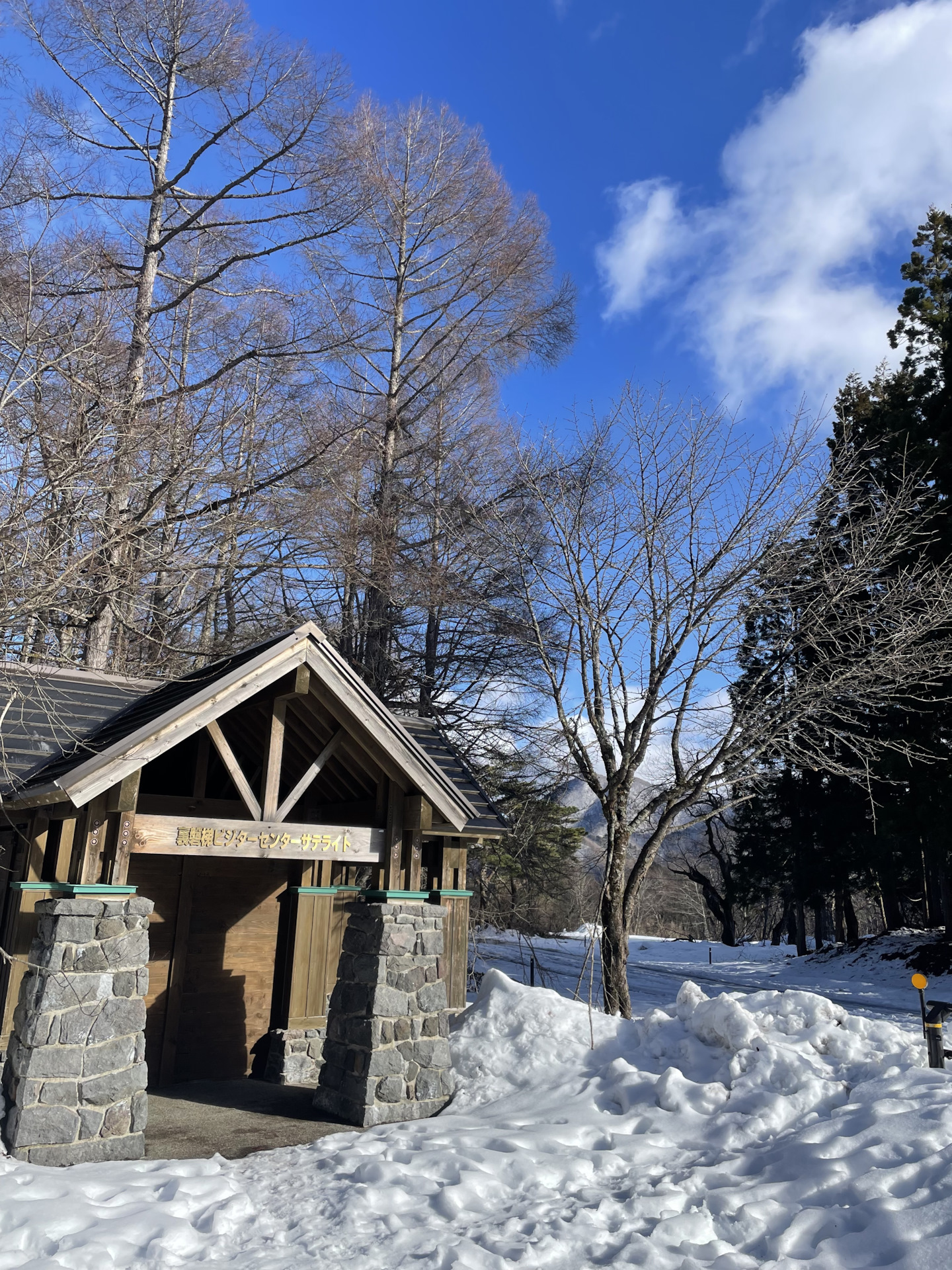 Олений пруд в измайловском парке на карте. Лебедянский пруд на карте. Карта воронежских прудов. Борисовские пруды карта. Как добраться до пруда.