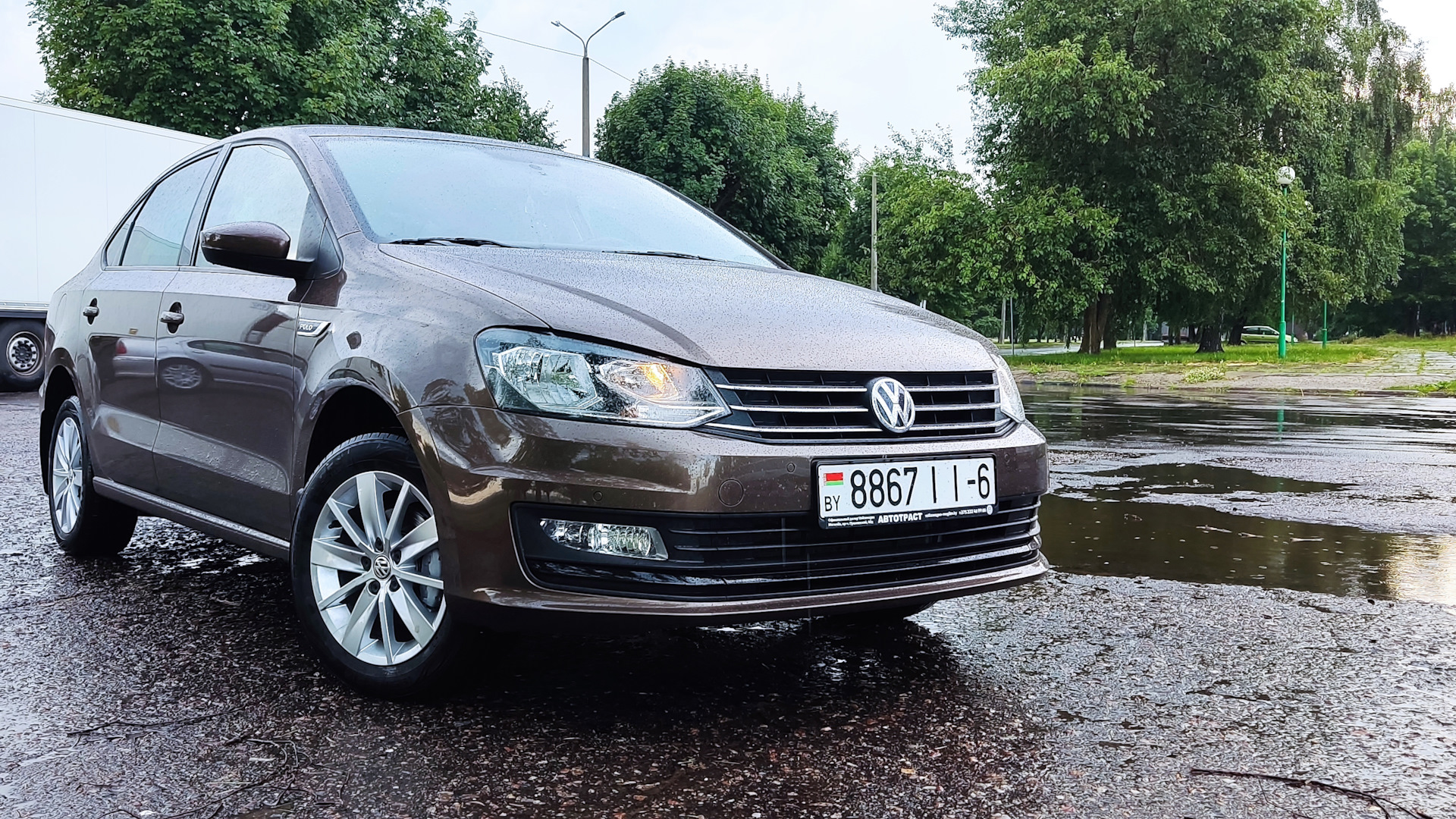 Volkswagen Polo Sedan 1.6 бензиновый 2019 | Коричневый котяра на DRIVE2