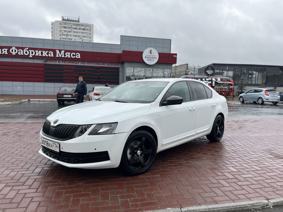 Фото в бортжурнале Skoda Octavia A7 Mk3. Запчасти на фото: BK4174