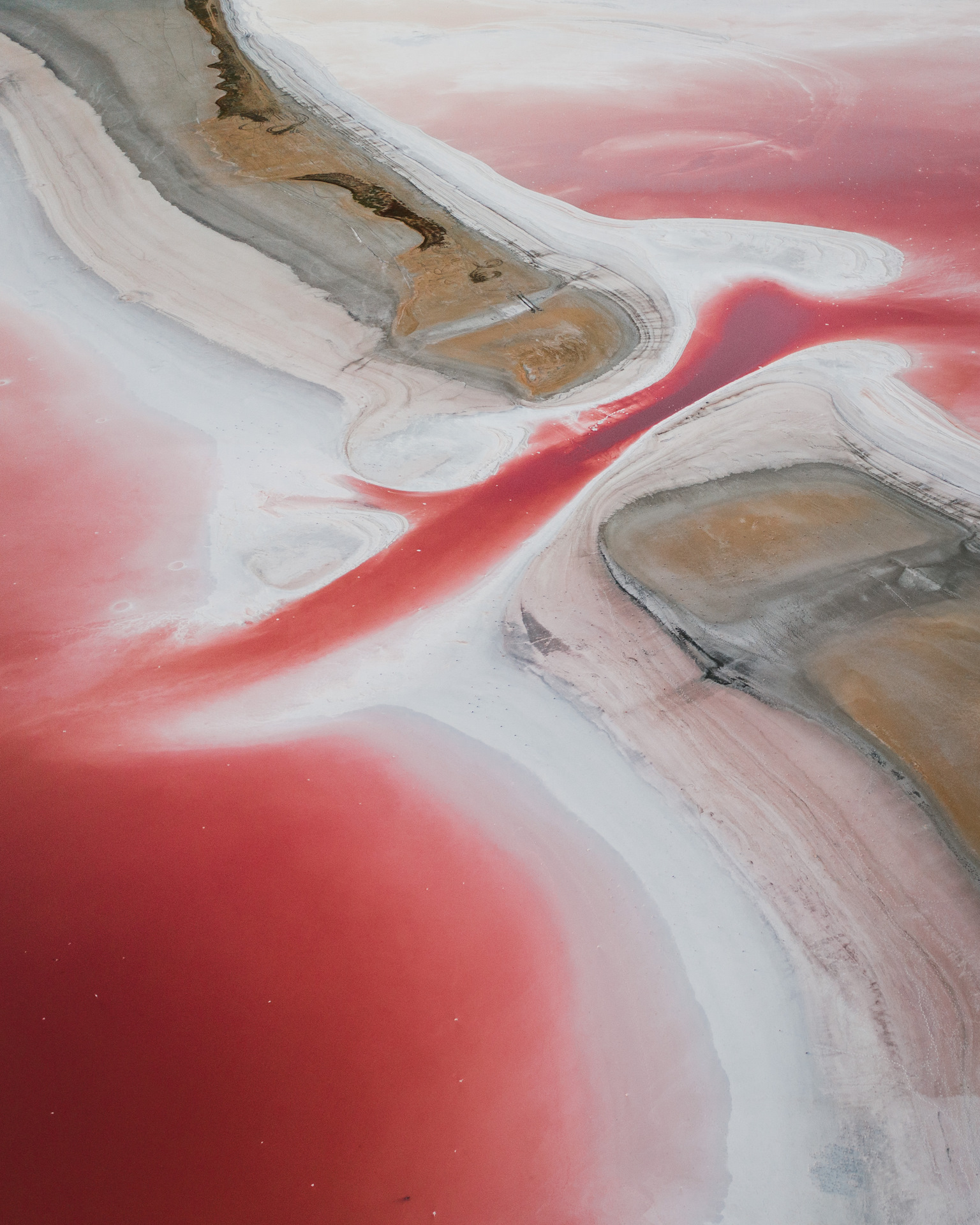Кояшское соленое озеро Крым розовое