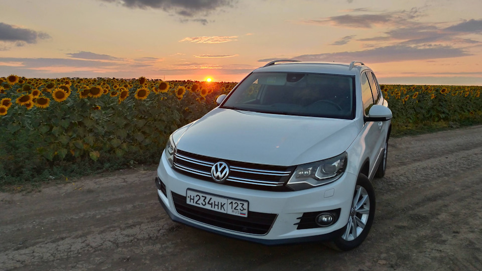 Покупка и установка чехлов в Рено Флюенс — Renault Fluence, 1,6 л, 2012 ...