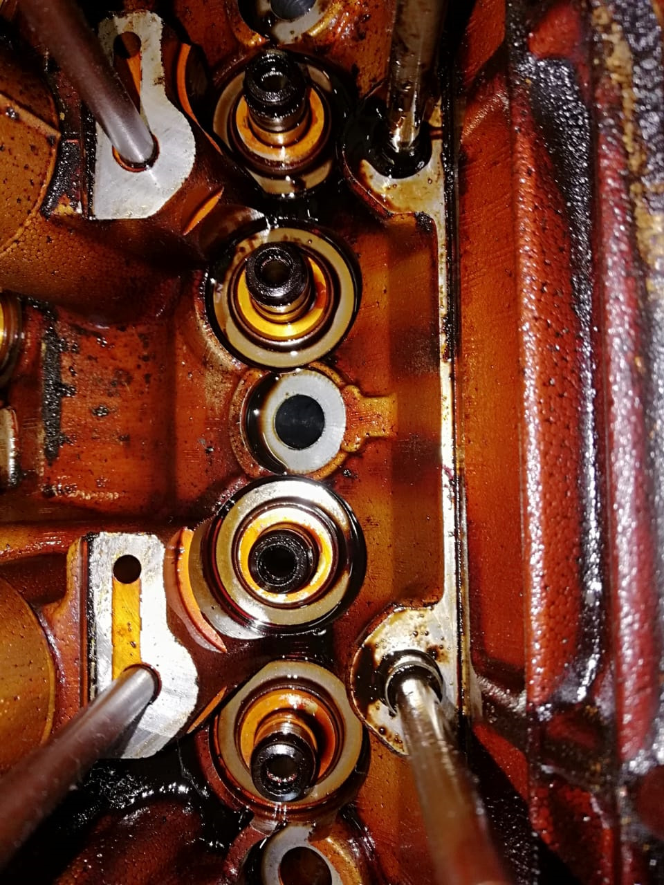 Фото в бортжурнале BMW X5 (E53)