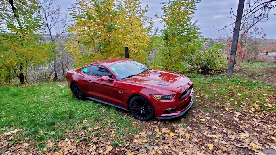 Prodazha Ford Mustang 2017 Benzin Mkpp S Istoriej Obsluzhivaniya Drive2 Ru