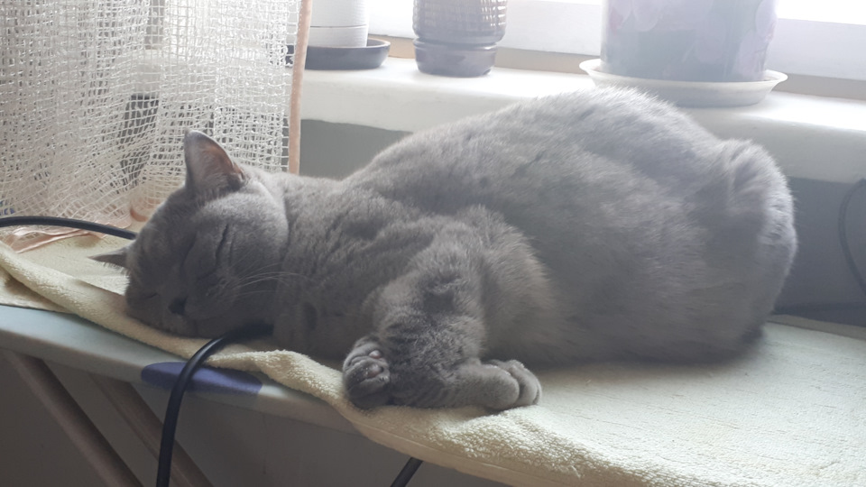 Фото в бортжурнале Honda Civic 4D (8G)