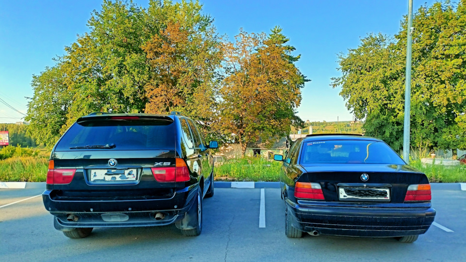 BMW 3 series Бима 🖤