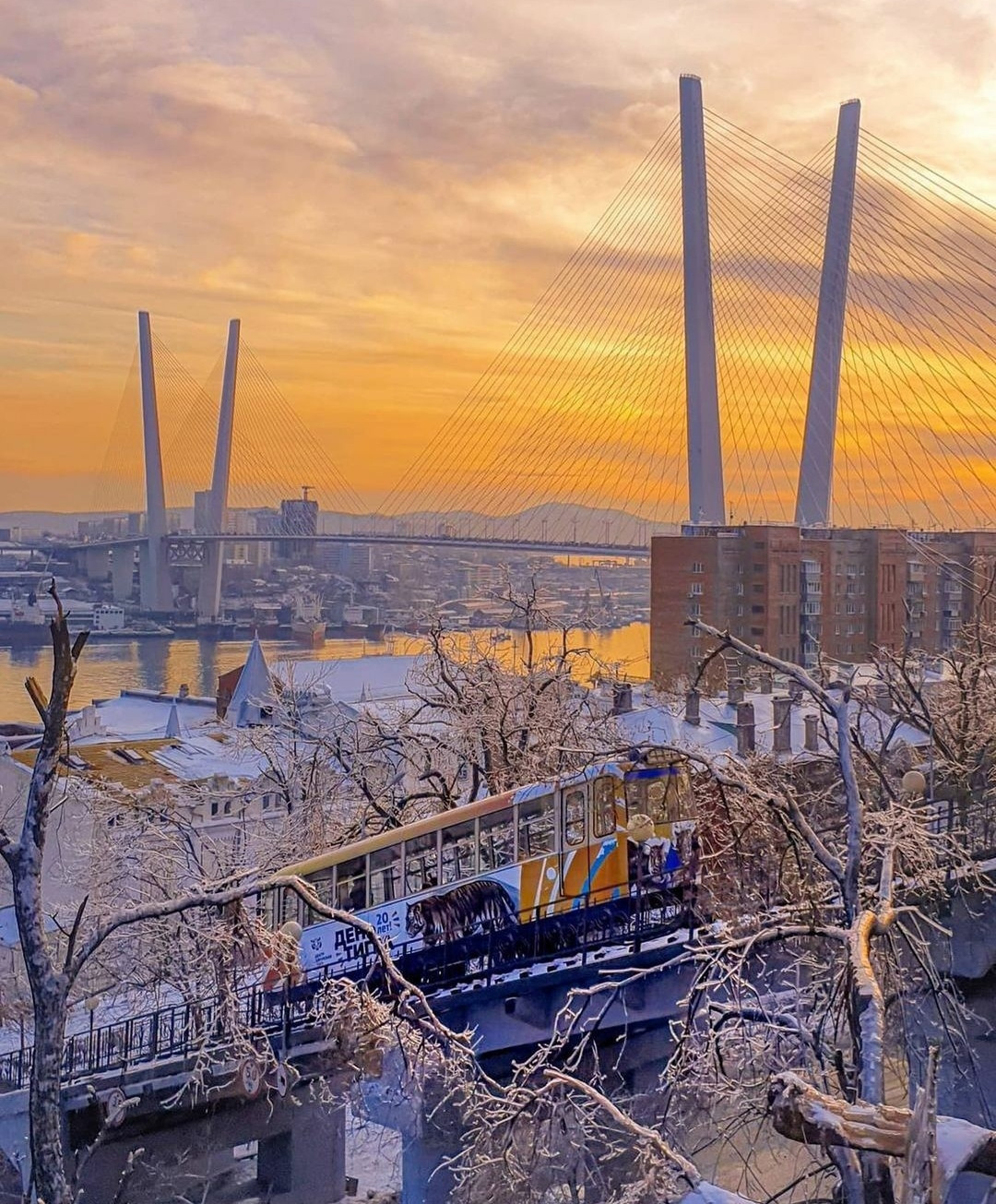 Владивосток зимой фото