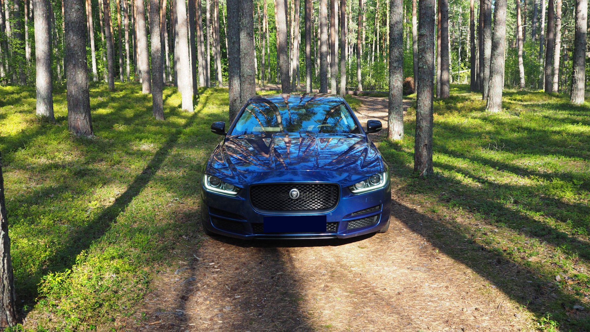 Jaguar XE 2.0 бензиновый 2016 | 🐦 💨 Синяя птица 🐦 💨 на DRIVE2