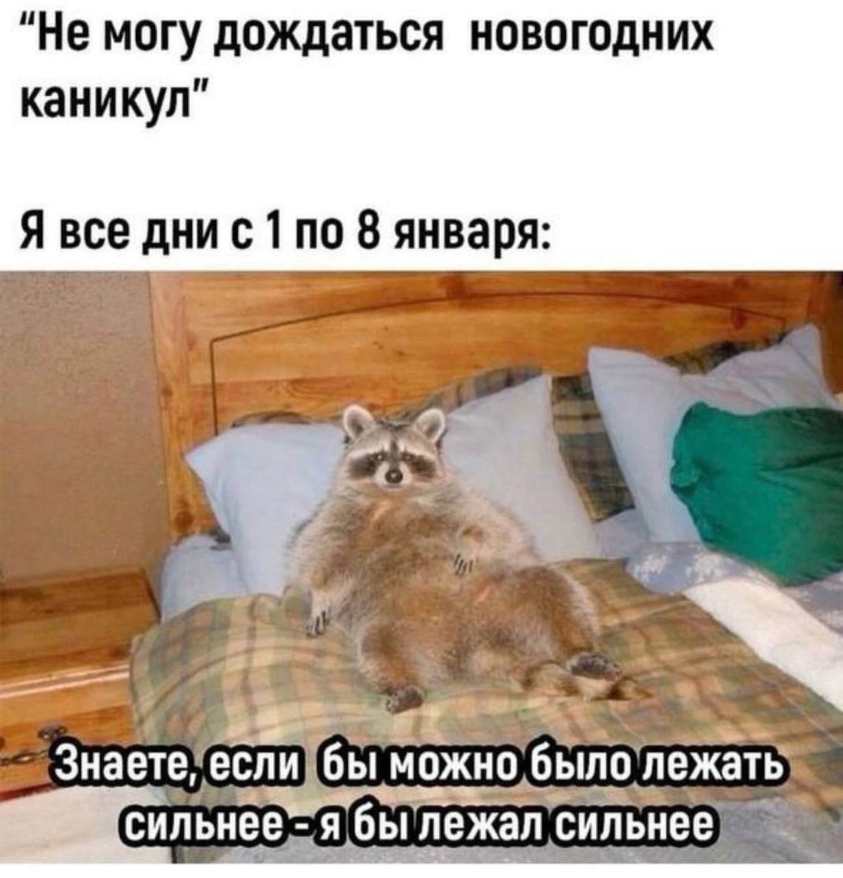 Мемы 11 января 2025 года