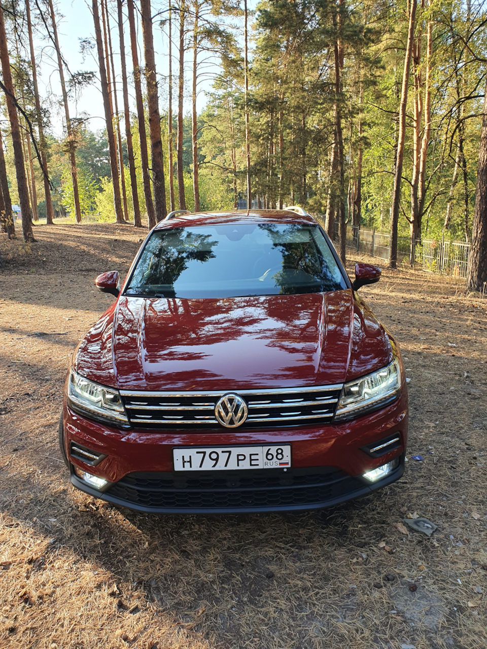 Фото в бортжурнале Volkswagen Tiguan (2G)