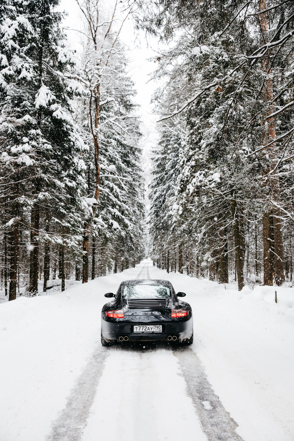 Фотосессия в лесу — Porsche 911 (997), 3,8 л, 2006 года | фотография |  DRIVE2