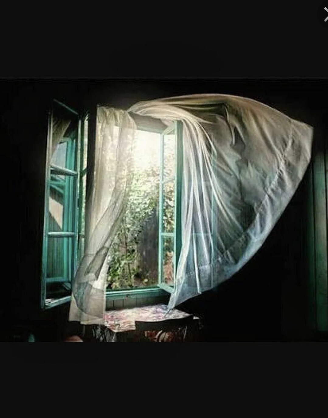 Сонник открывать окно. Занавески на окна. Окно с развевающейся шторой. Открытое окно с занавесками. Окно с развевающимися занавесками.