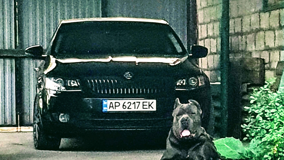 Skoda Octavia Чернявая любовница