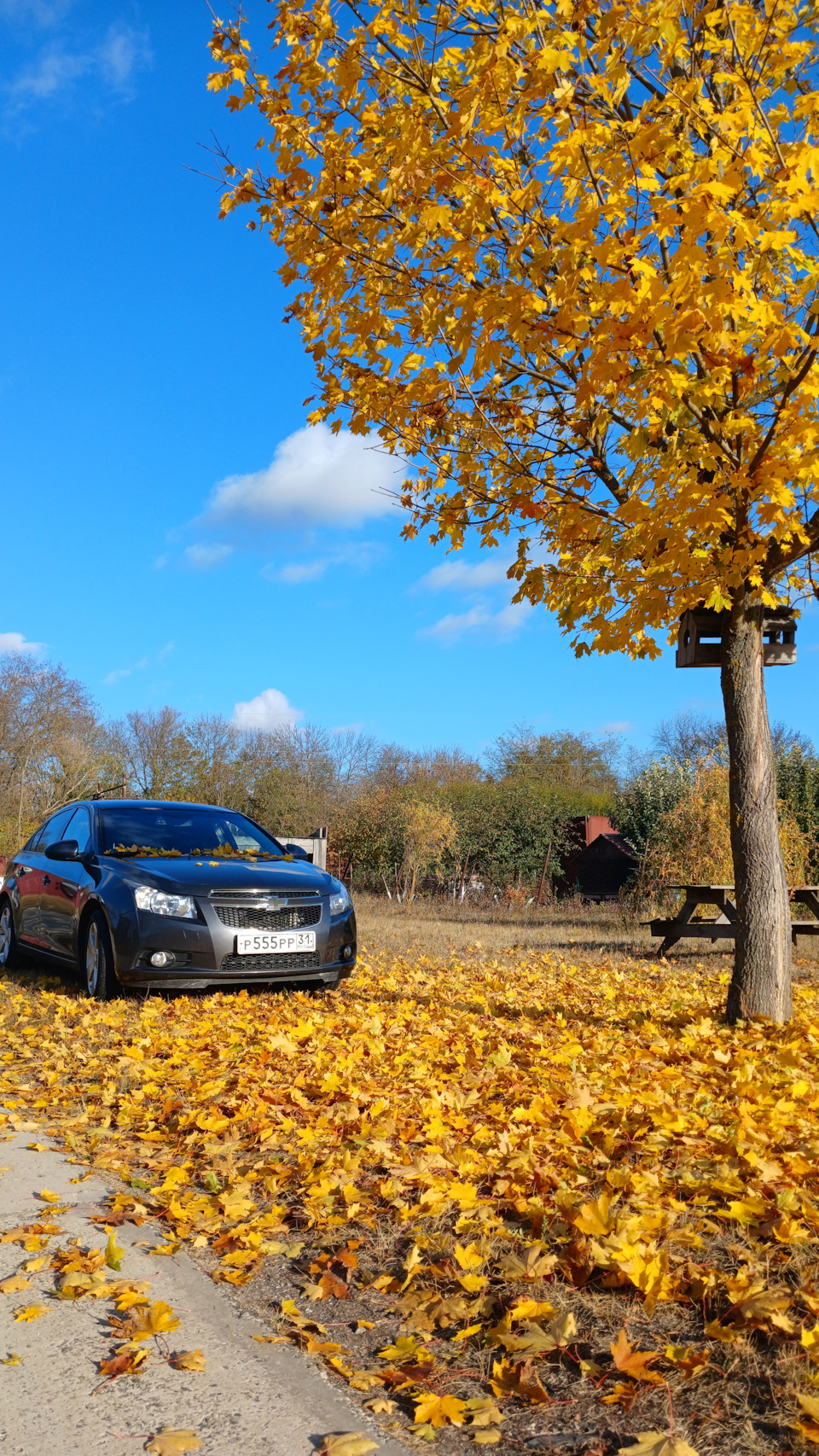 Фото в бортжурнале Chevrolet Cruze (1G)