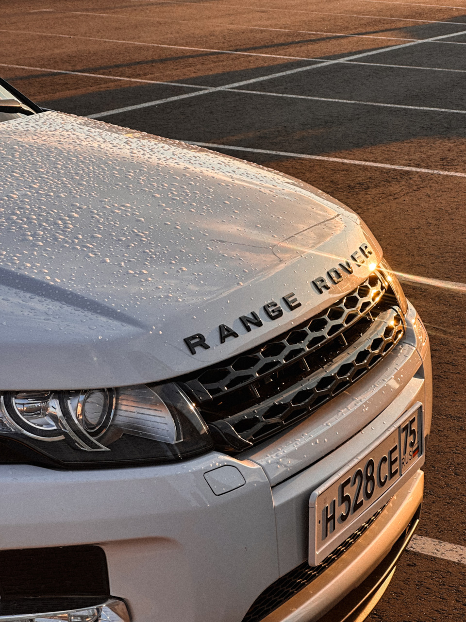 Фото в бортжурнале Land Rover Range Rover Evoque (1G)