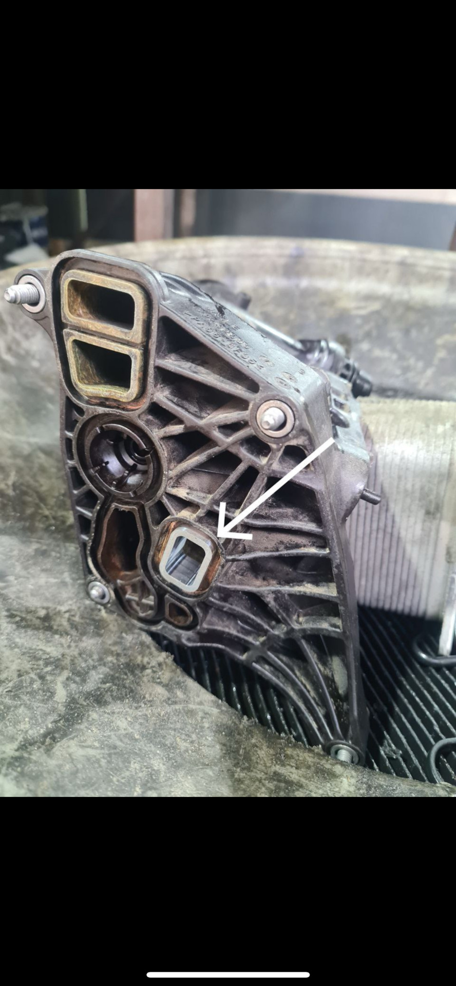 Фото в бортжурнале BMW X1 (F48)