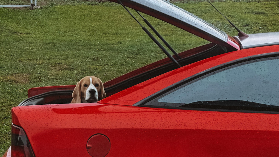 Opel Calibra Красная молния