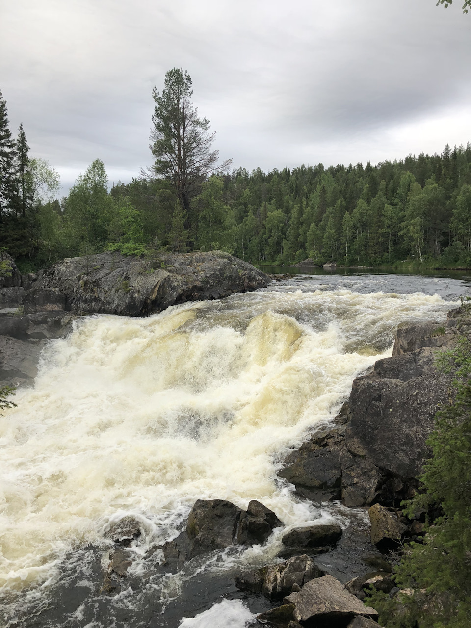 Ремонт передней подвески + реставрация рулевой рейки — Volkswagen ...