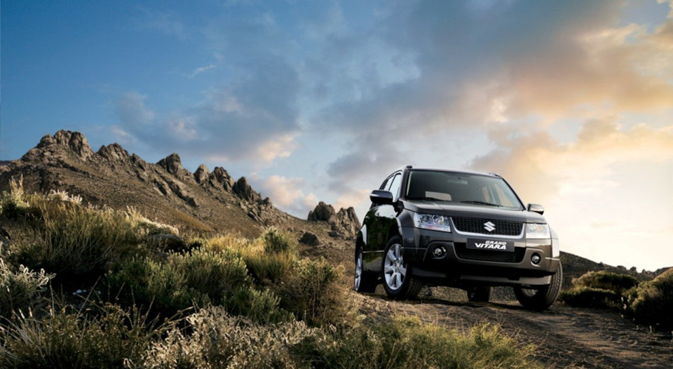 Стойки амортизатора. Когда менять? — Escudo Technic на DRIVE2