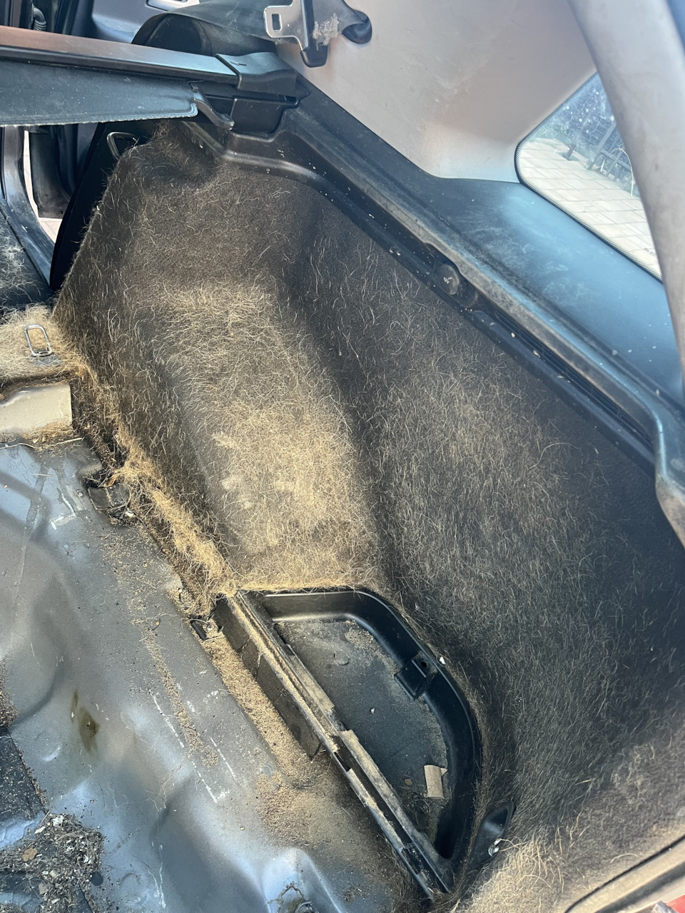 За год езды с собаками, похоже ничего не чистилось. — KIA Ceed (1G)