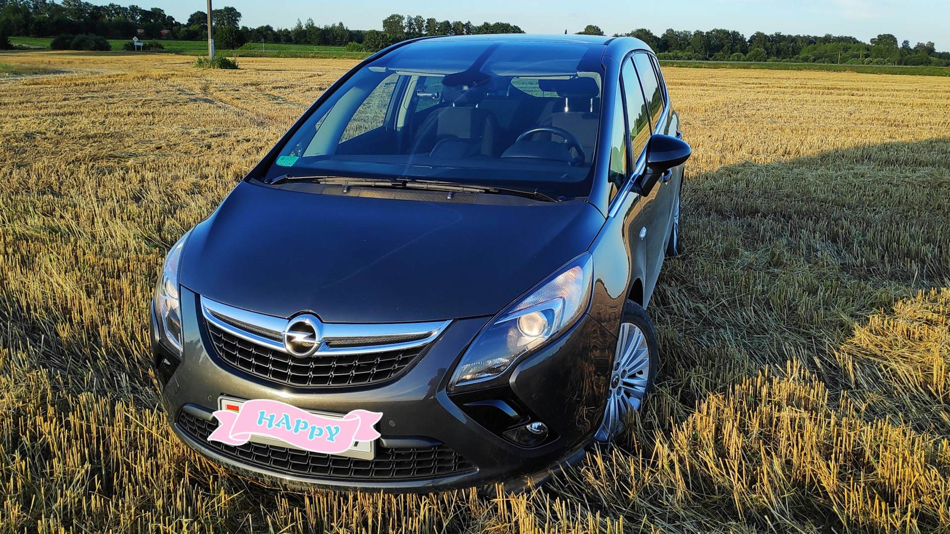 Опель беларусь. Опель Зафира 2015. Опель Зафира с 1.6 CDTI. Opel Zafira 2015 дизель. 7817mi1 Беларусь Опель.