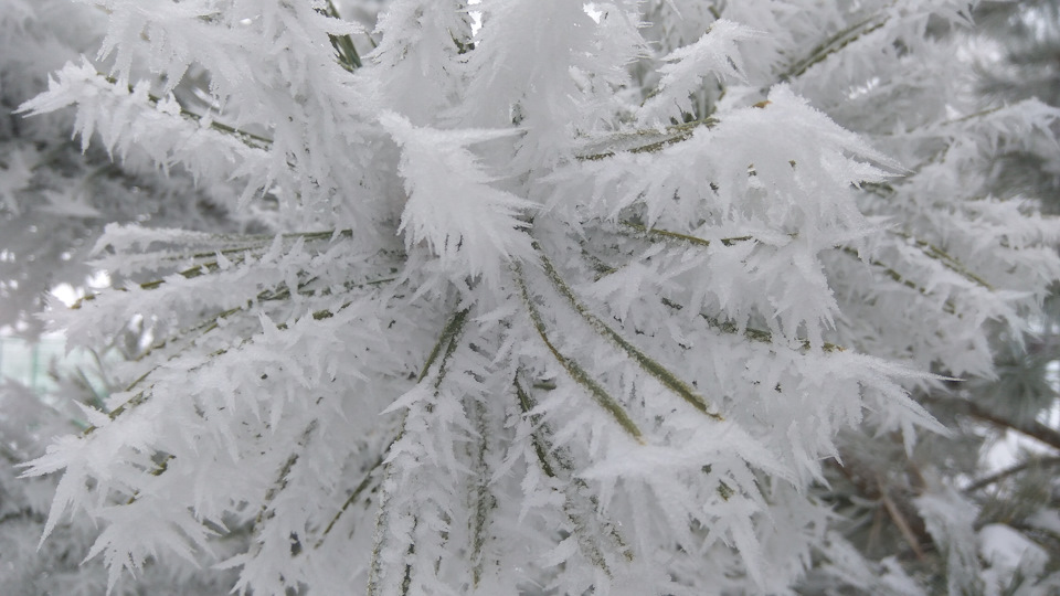 Фото в бортжурнале KIA Sorento (2G)