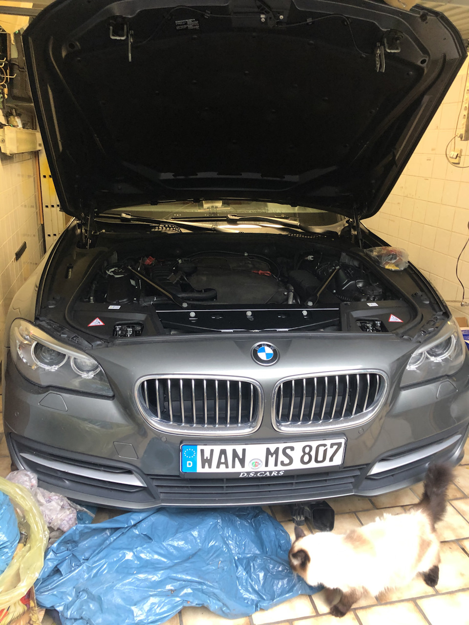 Первая замена Масла после покупки. — BMW 5 series Touring (F11), 2 л ...