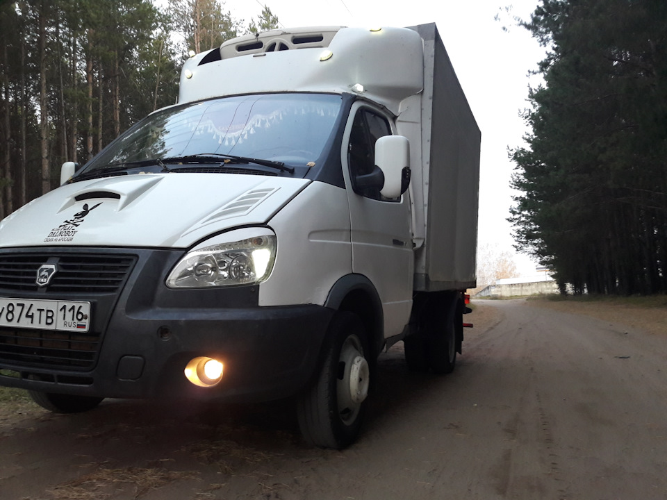 Диагностика — ГАЗ Газель, 2,3 л, 2006 года | электроника | DRIVE2