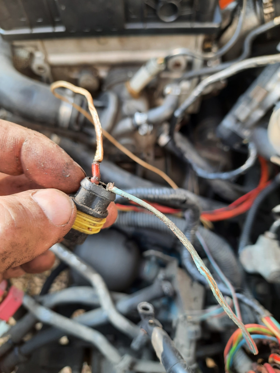 Фото в бортжурнале Alfa Romeo 156