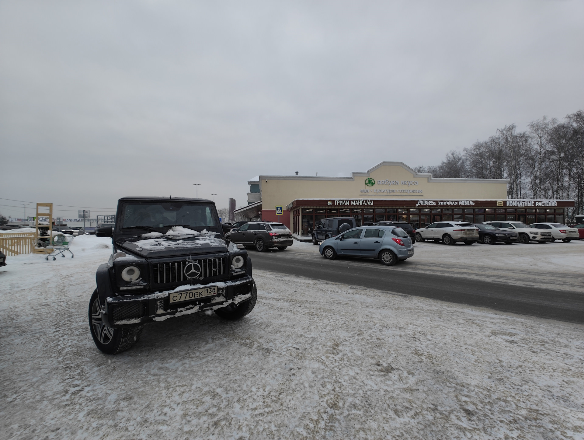 Путешествие с собаками. Уехал в тупик страны. — Mercedes-Benz G-Class  (W463), 4 л, 2017 года | путешествие | DRIVE2