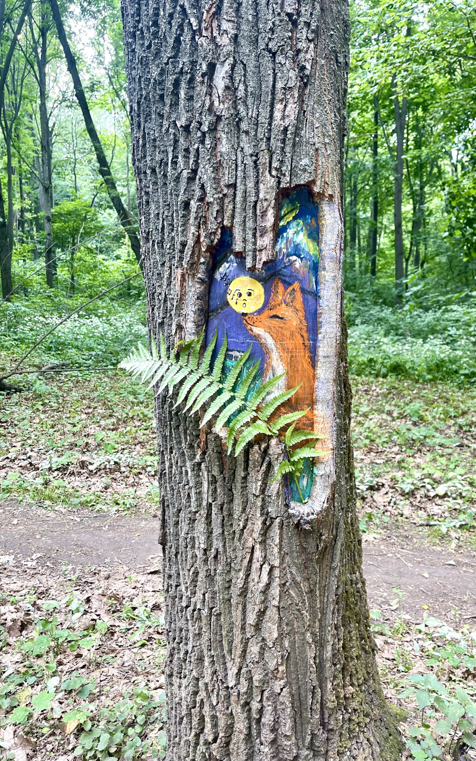 Плутовка. — DRIVE2