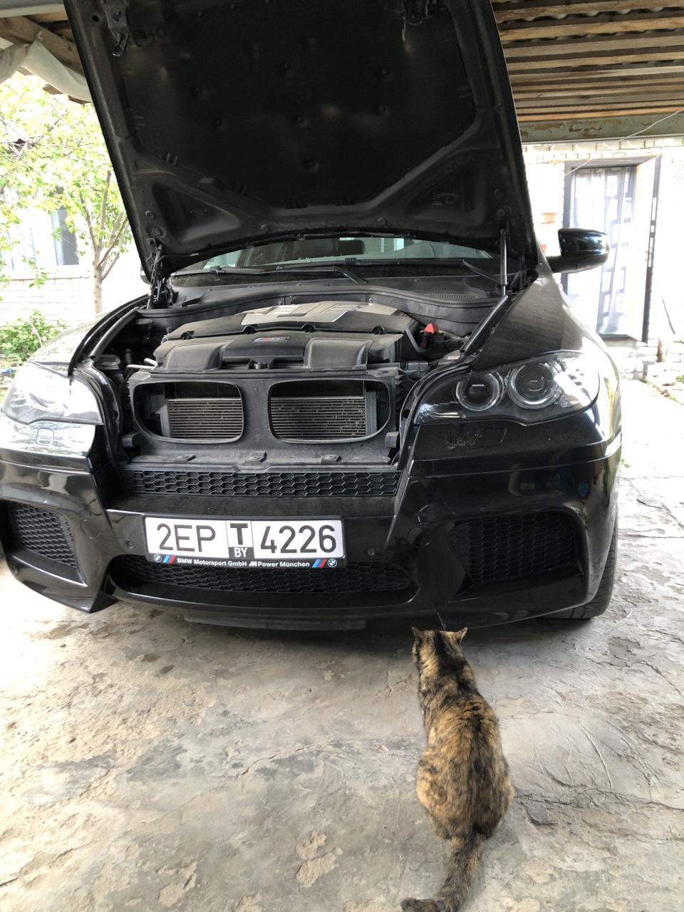 Крик души 🐈 — BMW X6 M, 4,4 л, 2010 года | наблюдение | DRIVE2