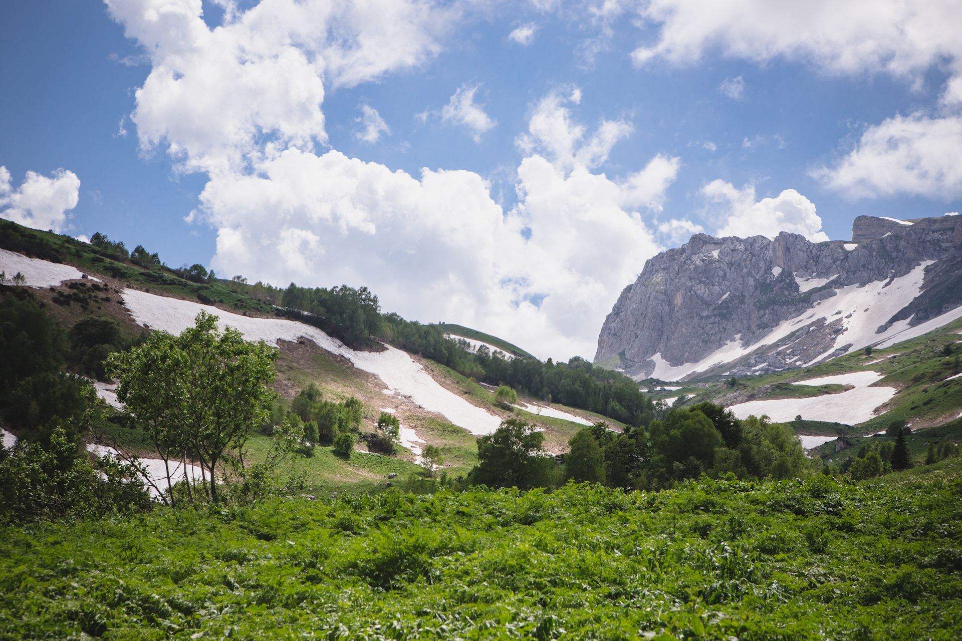 Адыгея: Альпийские Луга Гузерипльского перевала