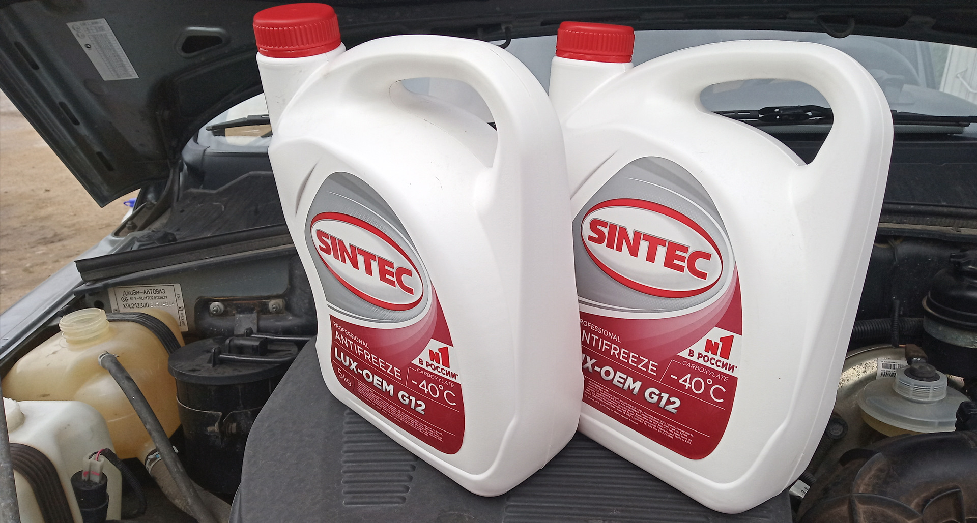 Антифризы 2014. Sintec g12. Антифриз Синтек красный g12 5л. 614500 Sintec. Антифриз Sintec Antifreeze Lux g12.