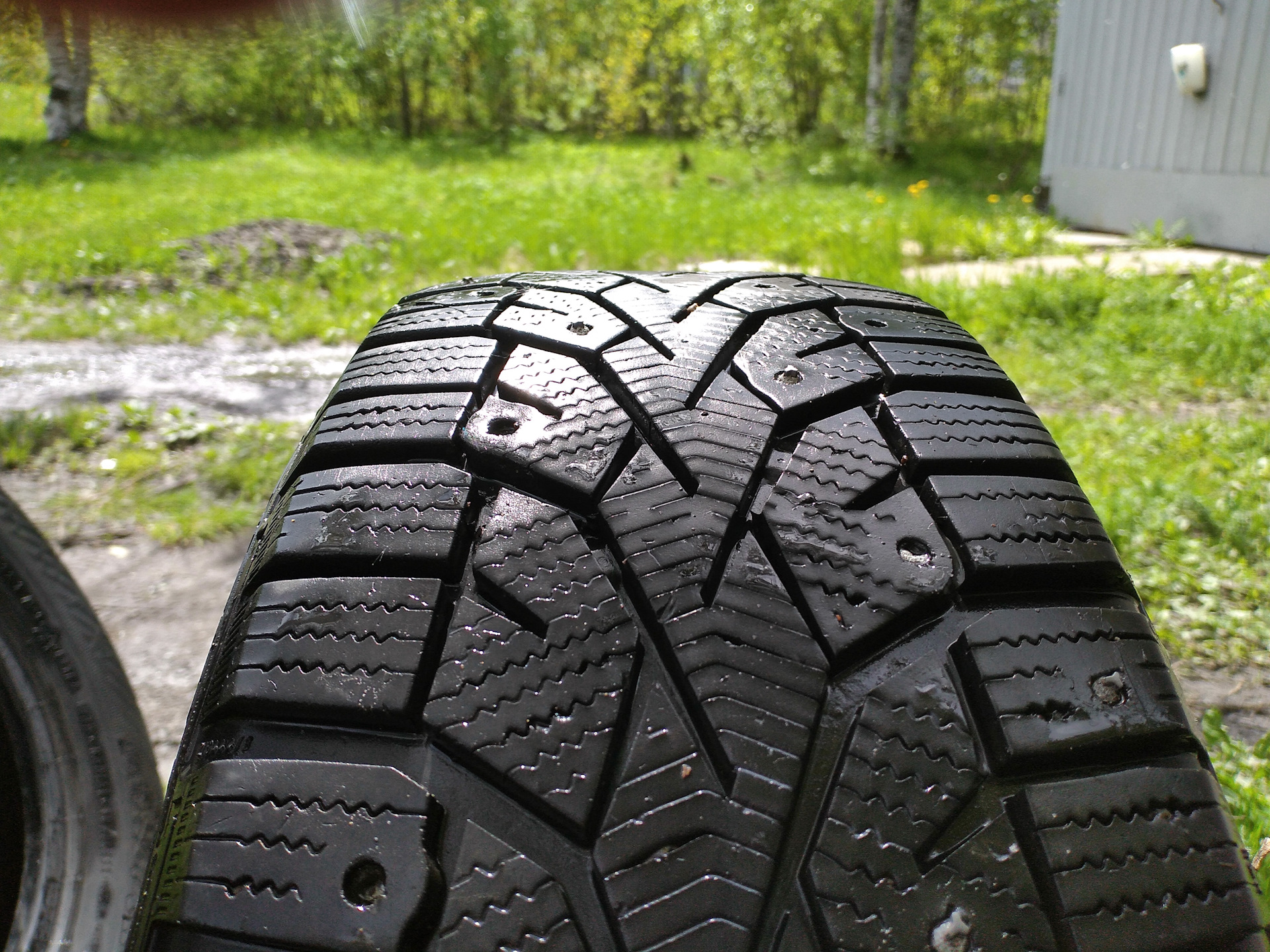 Gislaved premium control r17. Gislaved NORDFROST 100. Гиславед 185/65 r15. Гиславед 616. Гиславед ультра контрол.