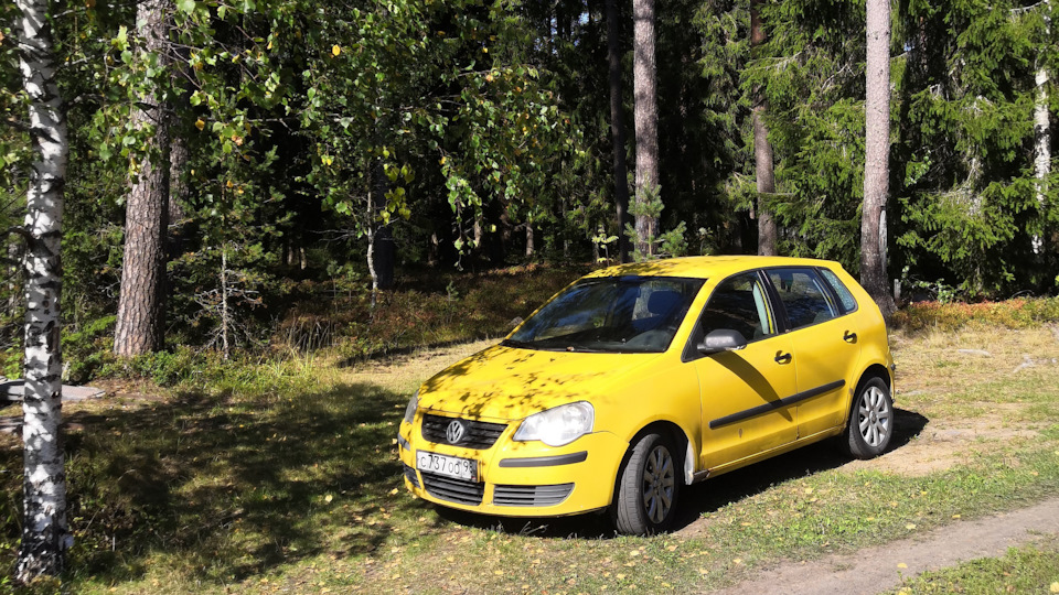 Volkswagen Polo Mk4F 1.4 бензиновый 2005 | на DRIVE2