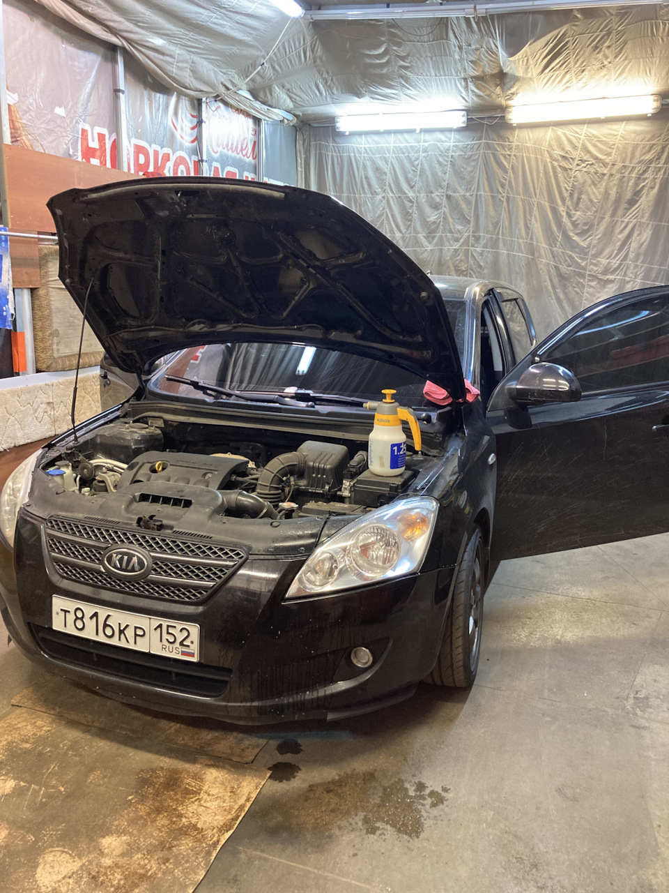 Затемнение фар — KIA Ceed (1G), 1,6 л, 2009 года | стайлинг | DRIVE2