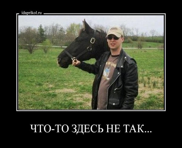 Картинки прикол что то здесь не так, сгенерировать картинку