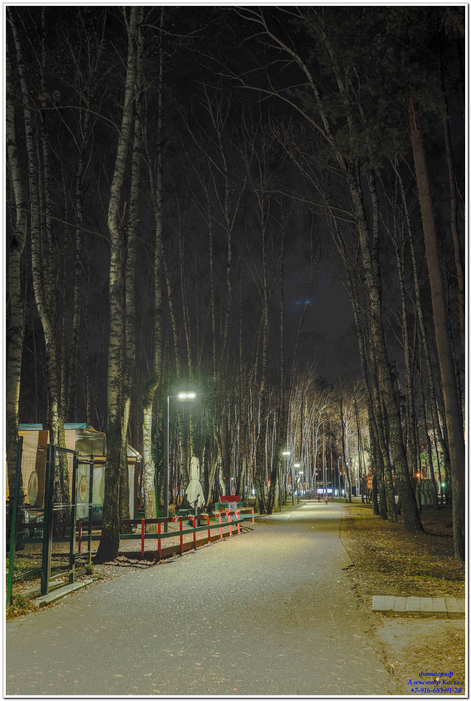 Парк ёлочки в Домодедово ночь в парке