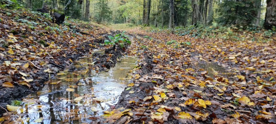 Фото в бортжурнале УАЗ Patriot