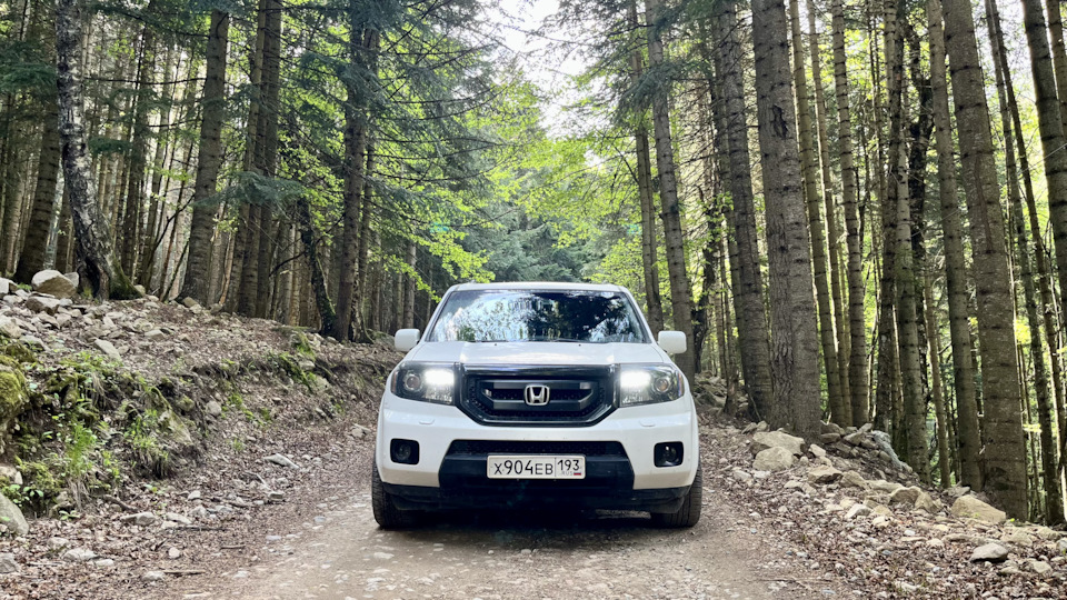Honda Pilot 🐻‍❄️ Белый Медведь